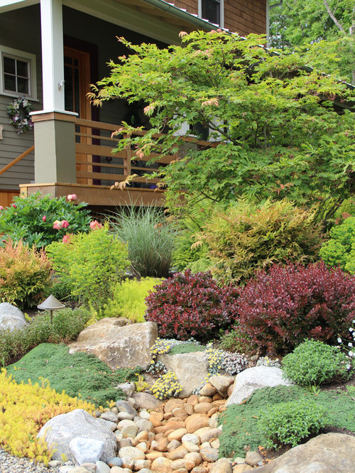 Small Shrubs For Landscaping | Houzz