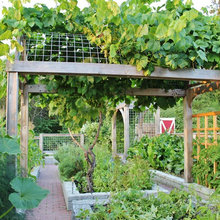 Veggie fortress