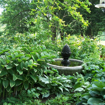 Water Features