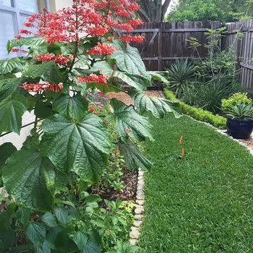 The Winding Garden