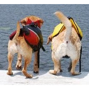 Jean Peterson's photo