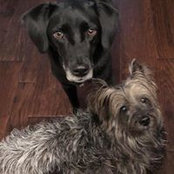 Caroline McBride's photo