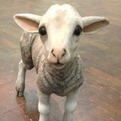 Arran Hodgson's photo