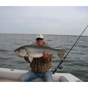 Mark Meskin's photo