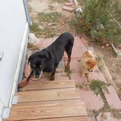 Teri Whitney's photo