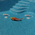 Foto di profilo di Rella Mosaici