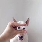Fred Tolboom's photo