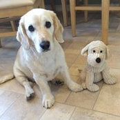 John Brannan's photo