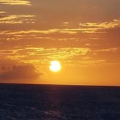 Pamela Higdon's photo