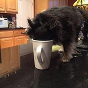 Lyn Richter Green's photo