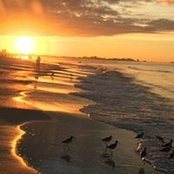 Foto von LOis Parrish
