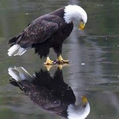 Gail Russell's photo