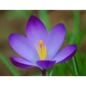 Jennifer Kehoe's photo