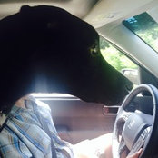 josh braverman's photo