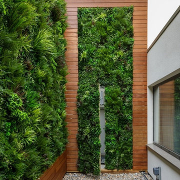 VistaFolia Green Walls at The Hilton