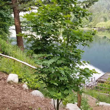 Lake Errock Cabin