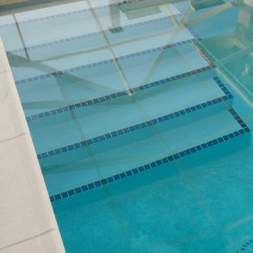 Peacock and Shell Beach Pool