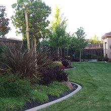 Mediterranean Backyard