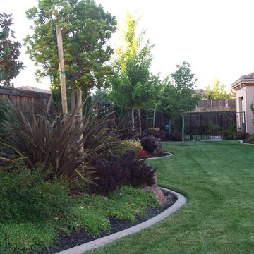 Morgan Creek Complete Backyard