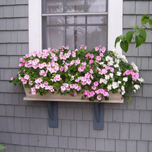 Newport Flower Boxes