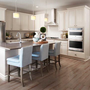 Arlington model home in Colorado