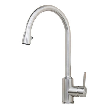 Wells Sinkware 309003 Stainless Steel Single-Handle Pull-Down Kitchen Faucet
