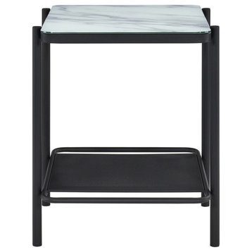 Furniture of America Joaquin Metal 1-Shelf End Table in Black and White