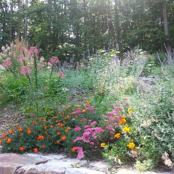 Naturescape and Edible Forest Garden