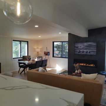 Rib Mountain Remodel