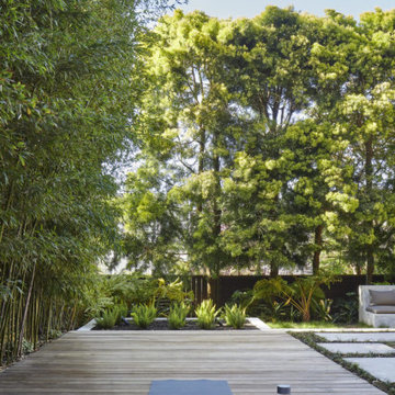 Wellness Sanctuary SF