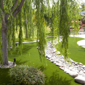 Beauty Lawn in Texas