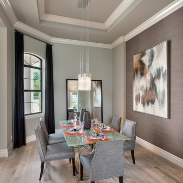 The Aviano by Harbourside - Fairgrove at Talis Park, Naples, Florida