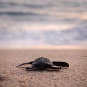 Wendy A. Rm's photo