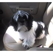 Mark Reed's photo