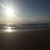 Betsy Fischborn's photo