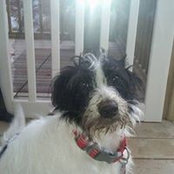Cathy Knauss's photo