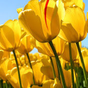 Amanda Furr's photo
