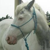 Foto von Natalie Ray