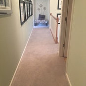 D Webb's photo