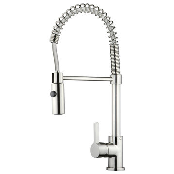 Dowell 8002/006 Series Single Handle Kitchen Faucet/Sprayer - Brushed Nickel