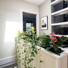 Indoor plants