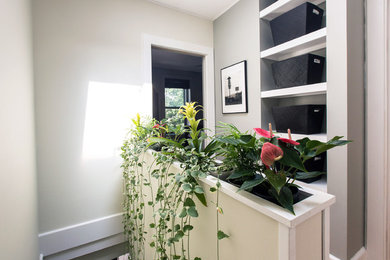 Bedroom - small medium tone wood floor bedroom idea in Boston