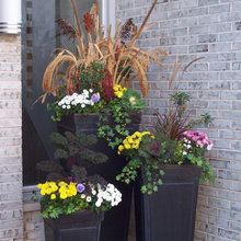 Flower Pots