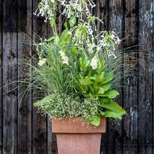 container gardens