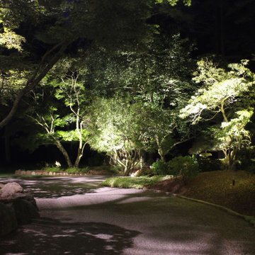 A most Unique Property with some Specimen Plant materials over 100 years old