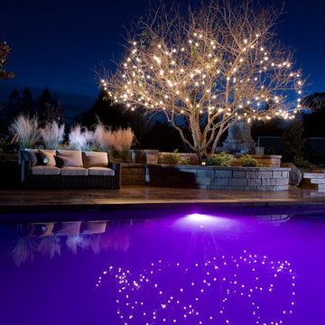 Universal ColorLogic Pool & Spa Lights