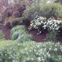 Creek House Landscaping