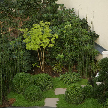 Jardins d'ombre