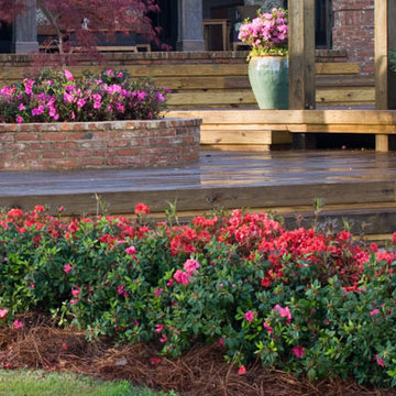 Encore Azalea Landscape