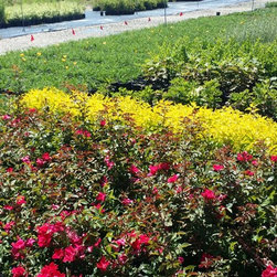 Nursery - Outdoor Products